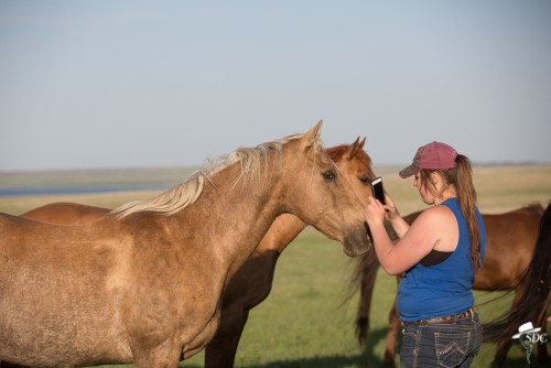 the dx ranch, ranch interns, ranching internship, equine internship, horses
