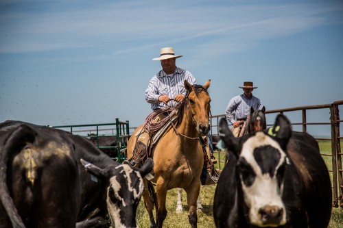 horsemanship experience, ranch vacations, south dakota horsemanship, south dakota ranch vacation