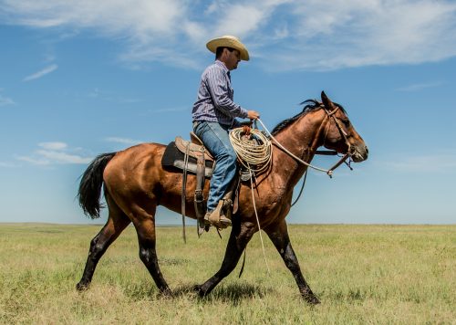 Zach Ducheneaux, The DX Ranch Crew, South Dakota Cowgirl Photography, south dakota cowboys