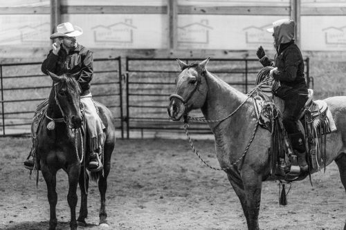awareness, the dx ranch, horsemanship
