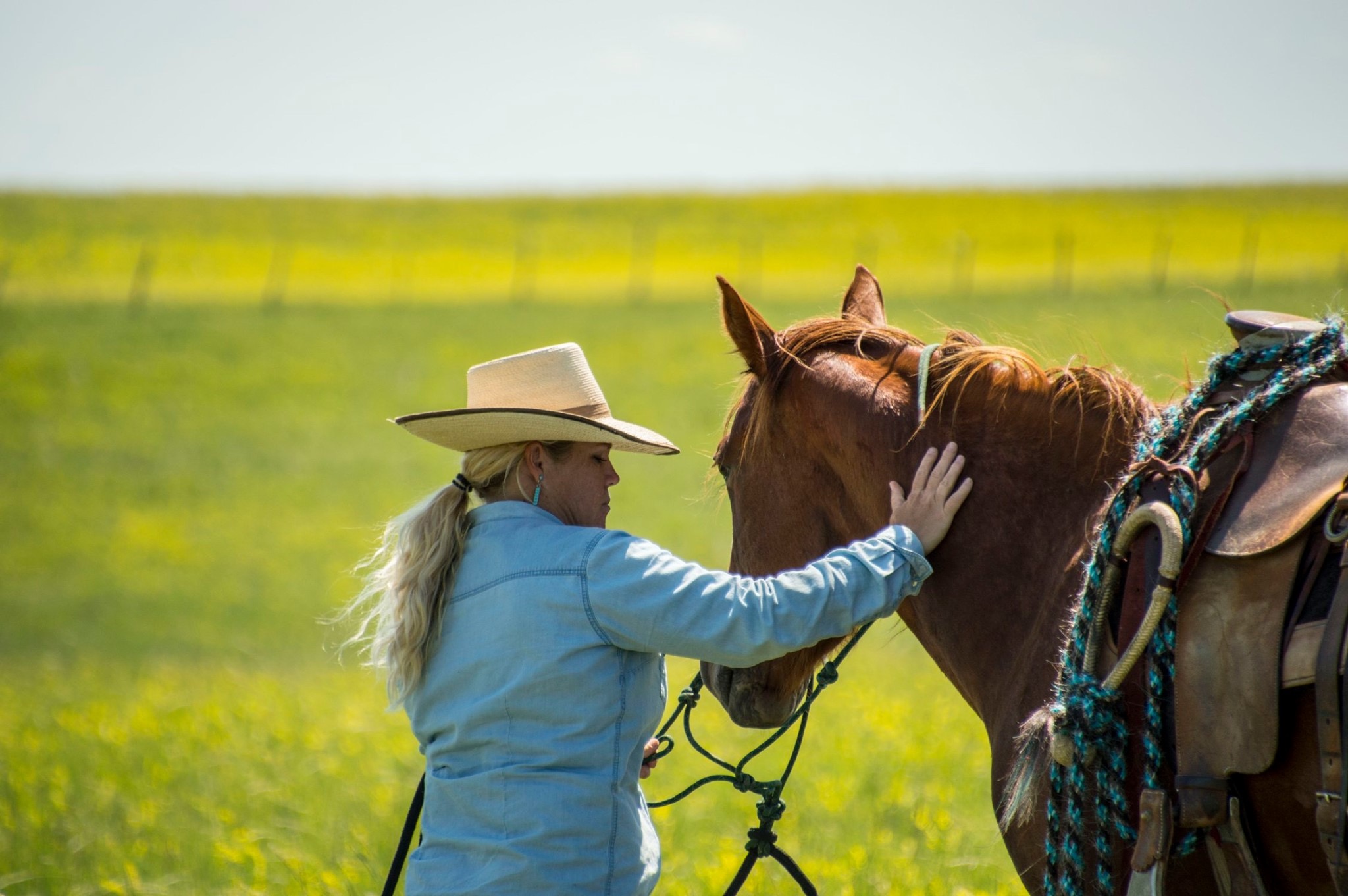 horsemanship, the dx ranch, ranching, the south dakota cowgirl, mackenzie scheff photography