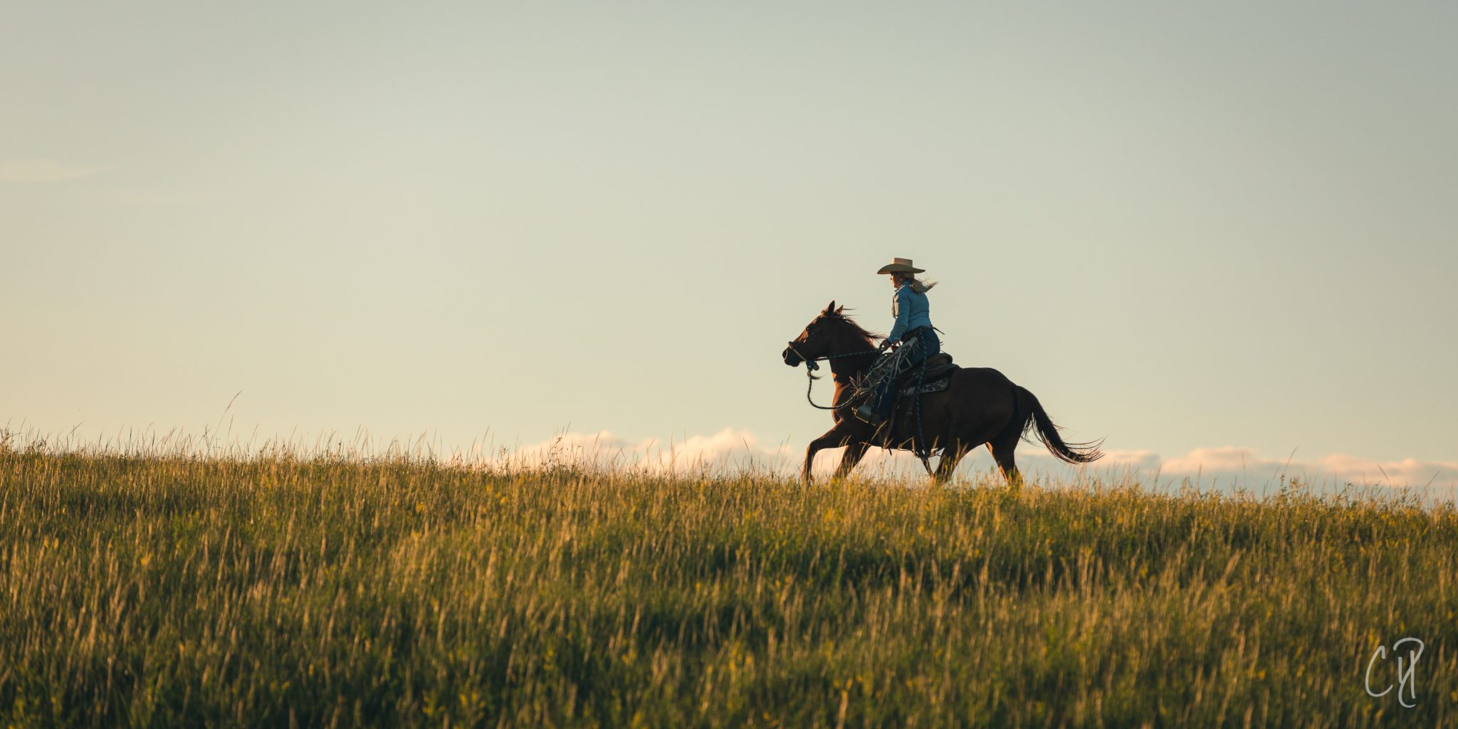 Working Ranch Vacations